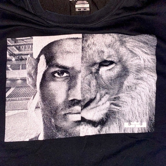Nike LeBron Lion T-Shirt - Picture 1 of 3